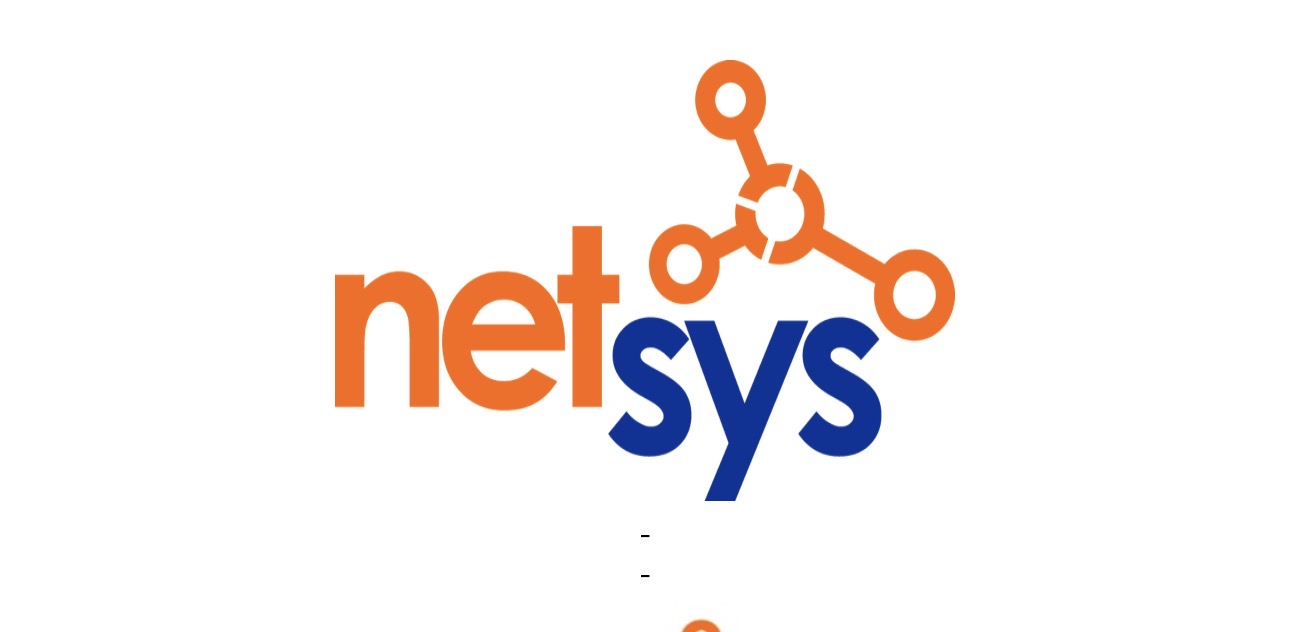 Logo de Netsys