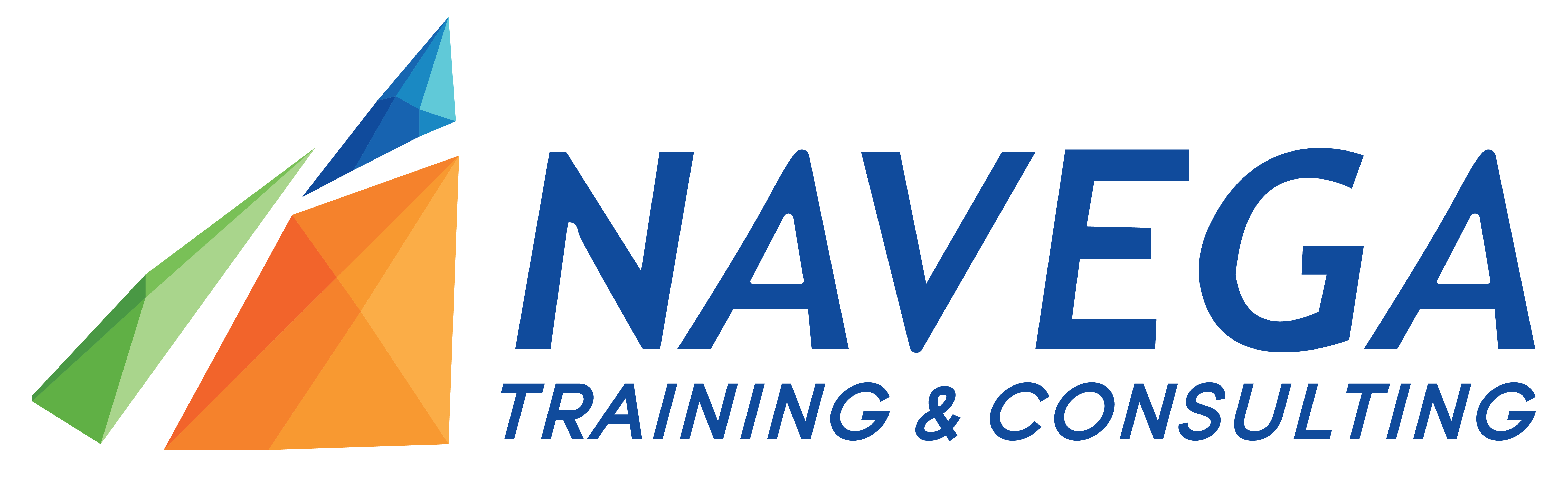 Logo de Navega Training and consulting